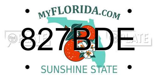827BDE Florida License Plate