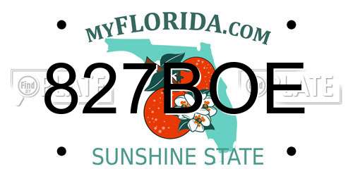827BOE Florida License Plate