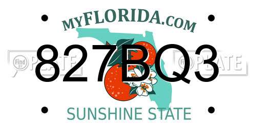 827BQ3 Florida License Plate