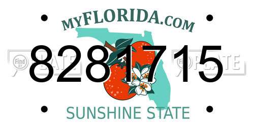 8281715 Florida License Plate