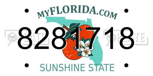 8281718 Florida License Plate