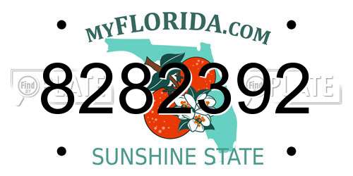 8282392 Florida License Plate