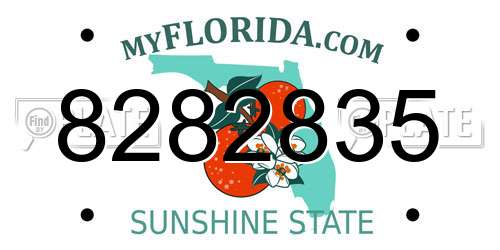 8282835 Florida License Plate