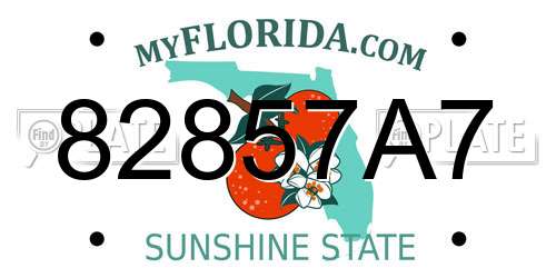 82857A7 Florida License Plate