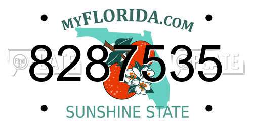 8287535 Florida License Plate