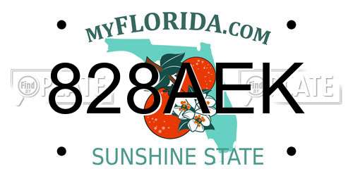 828AEK Florida License Plate