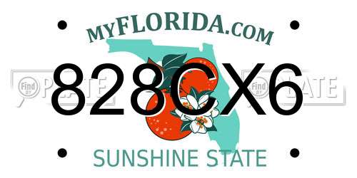 828CX6 Florida License Plate