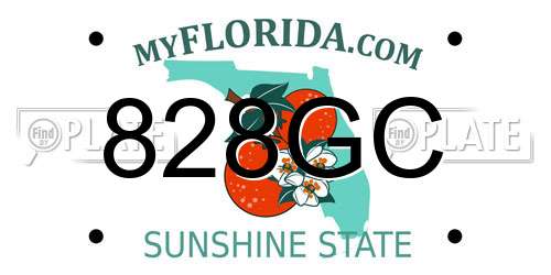 828GC Florida License Plate