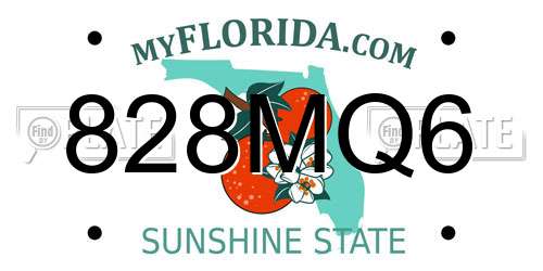 828MQ6 Florida License Plate