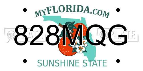 828MQG Florida License Plate