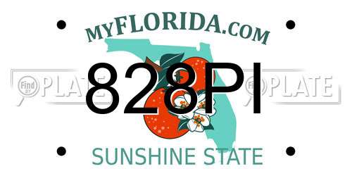 828PI Florida License Plate