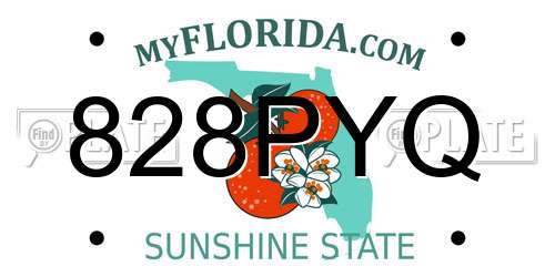 828PYQ Florida License Plate