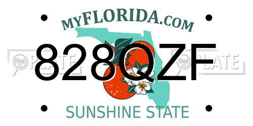 828QZF Florida License Plate