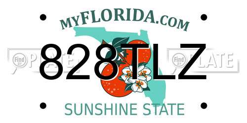 828TLZ Florida License Plate