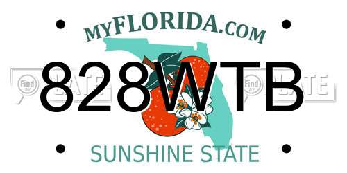 828WTB Florida License Plate