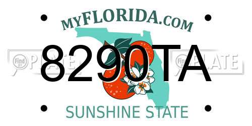 8290TA Florida License Plate