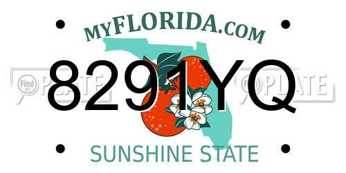 8291YQ Florida License Plate