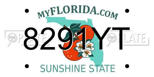 8291YT Florida License Plate