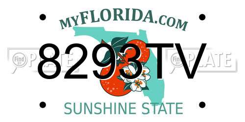 8293TV Florida License Plate