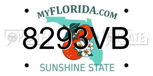 8293VB Florida License Plate