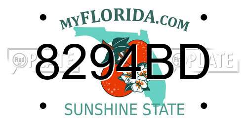 8294BD Florida License Plate