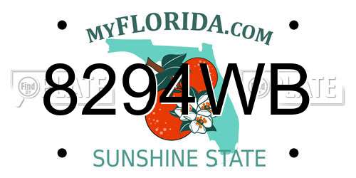 8294WB Florida License Plate