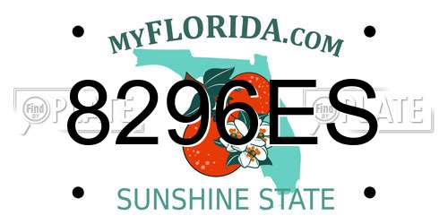 8296ES Florida License Plate