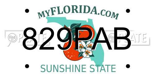 829PAB Florida License Plate