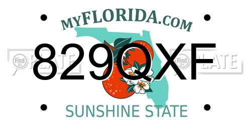 829QXF Florida License Plate