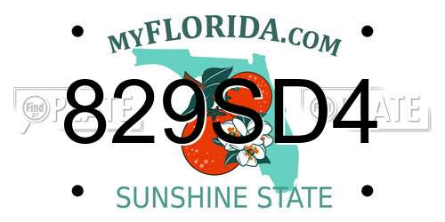 829SD4 Florida License Plate