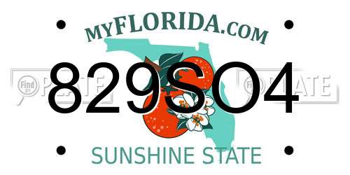 829SO4 Florida License Plate