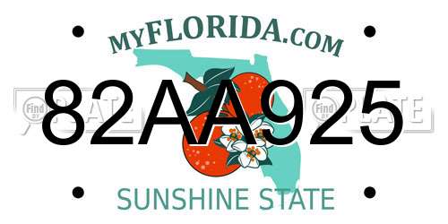 82AA925 Florida License Plate