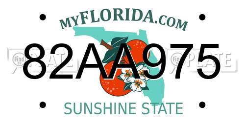 82AA975 Florida License Plate