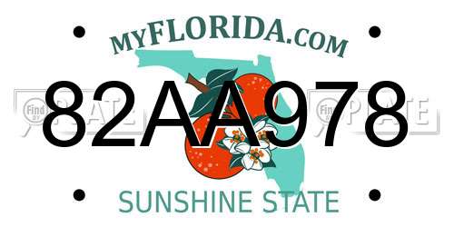 82AA978 Florida License Plate