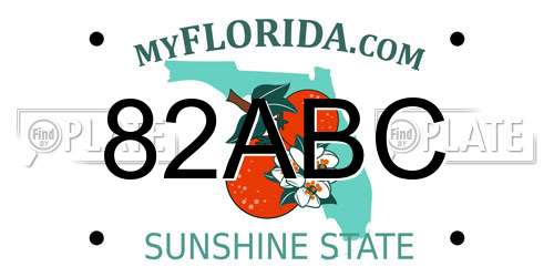 82ABC Florida License Plate