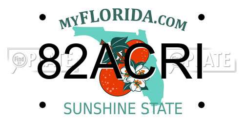 82ACRI Florida License Plate