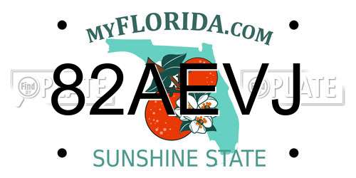 82AEVJ Florida License Plate