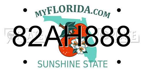 82AH888 Florida License Plate