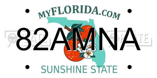 82AMNA Florida License Plate