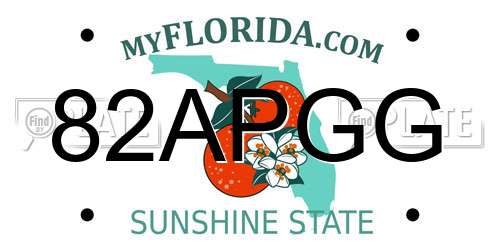 82APGG Florida License Plate