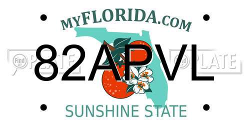 82APVL Florida License Plate