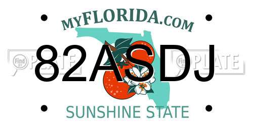 82ASDJ Florida License Plate