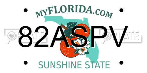 82ASPV Florida License Plate