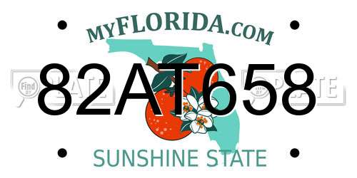 82AT658 Florida License Plate