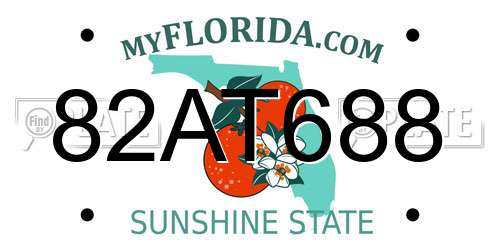 82AT688 Florida License Plate