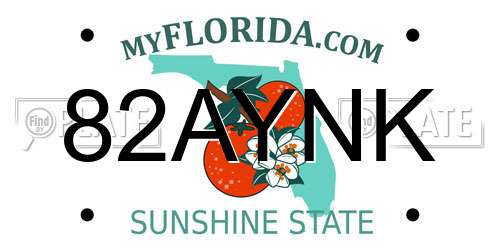 82AYNK Florida License Plate