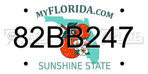 82BB247 Florida License Plate