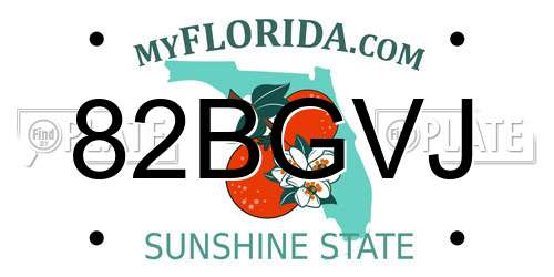 82BGVJ Florida License Plate
