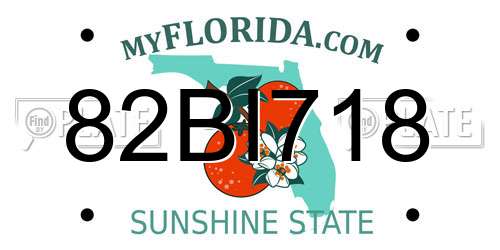 82BI718 Florida License Plate