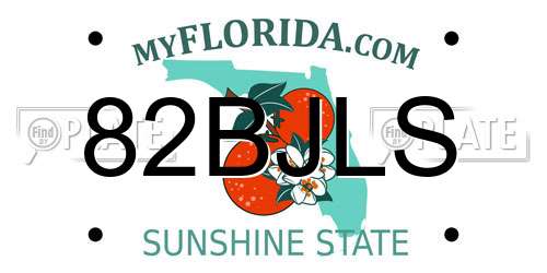 82BJLS Florida License Plate